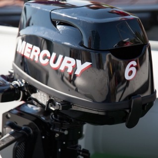 Лодочный мотор Mercury ME F 6 M